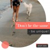 Fashion Fair Instagram Post Templates